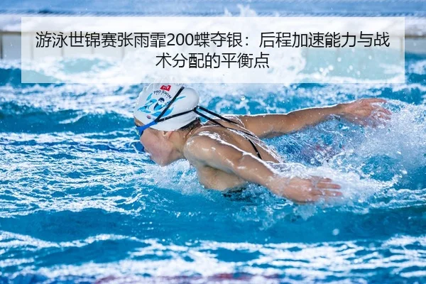 you-yong-shi-jin-sai-zhang-yu-fei-die-duo-yin-hou-cheng-jia-su-neng-li-yu-zhan-shu-fen-pei-de-ping-heng-dian-3-407.jpg